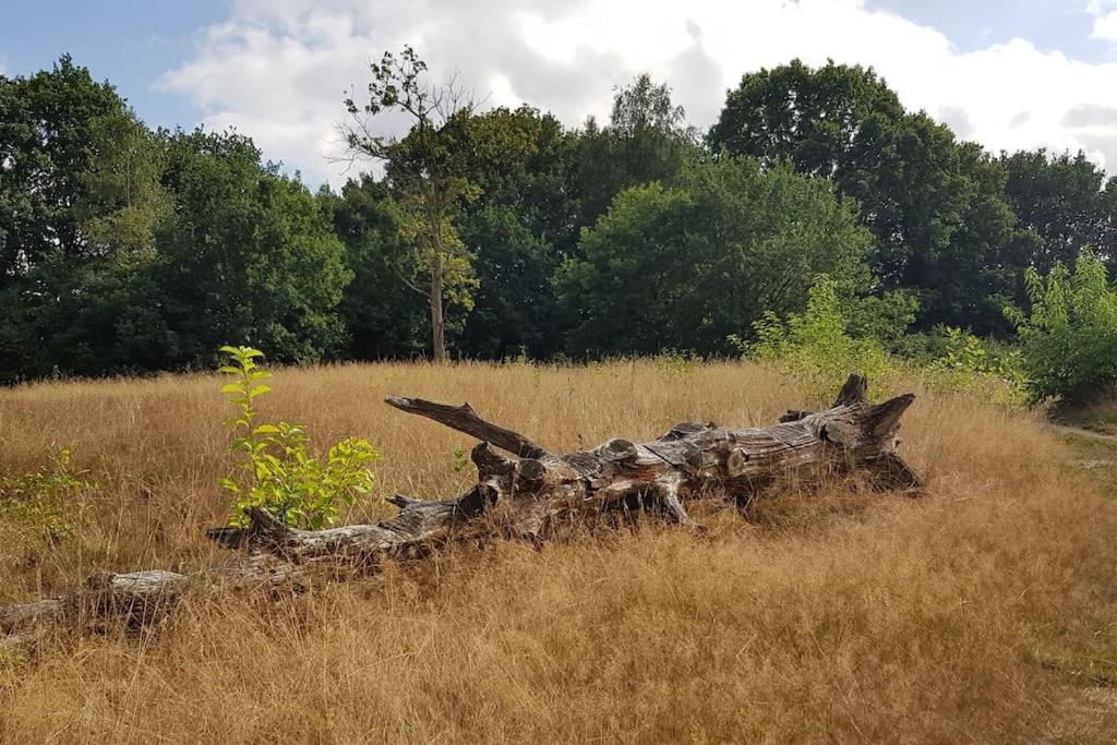 De Specht Villa Anloo Bagian luar foto