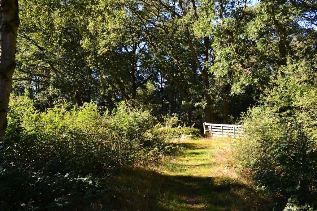 De Specht Villa Anloo Bagian luar foto