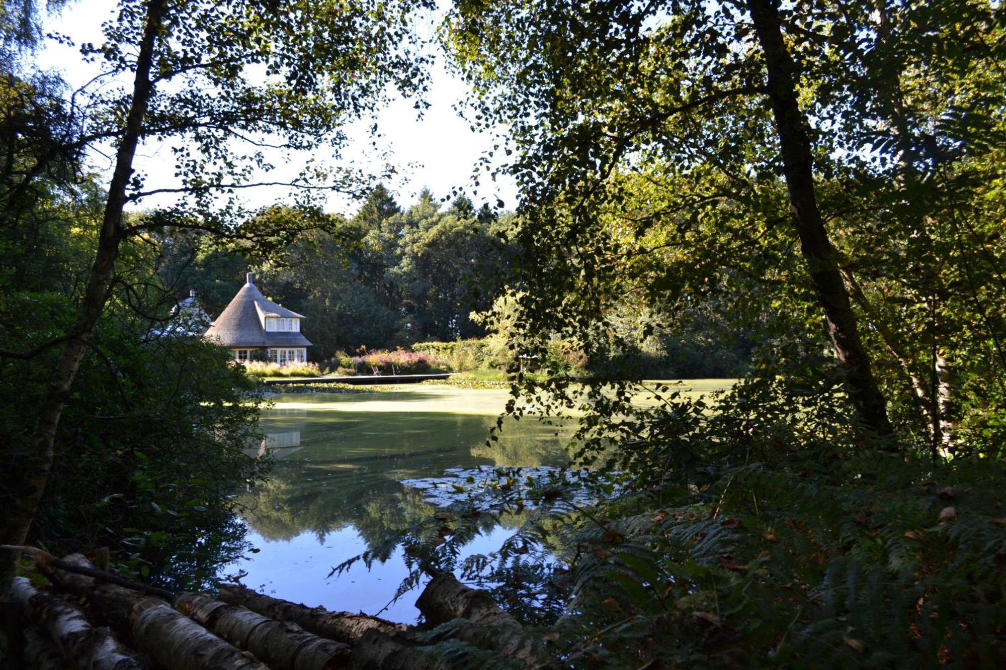 De Specht Villa Anloo Bagian luar foto