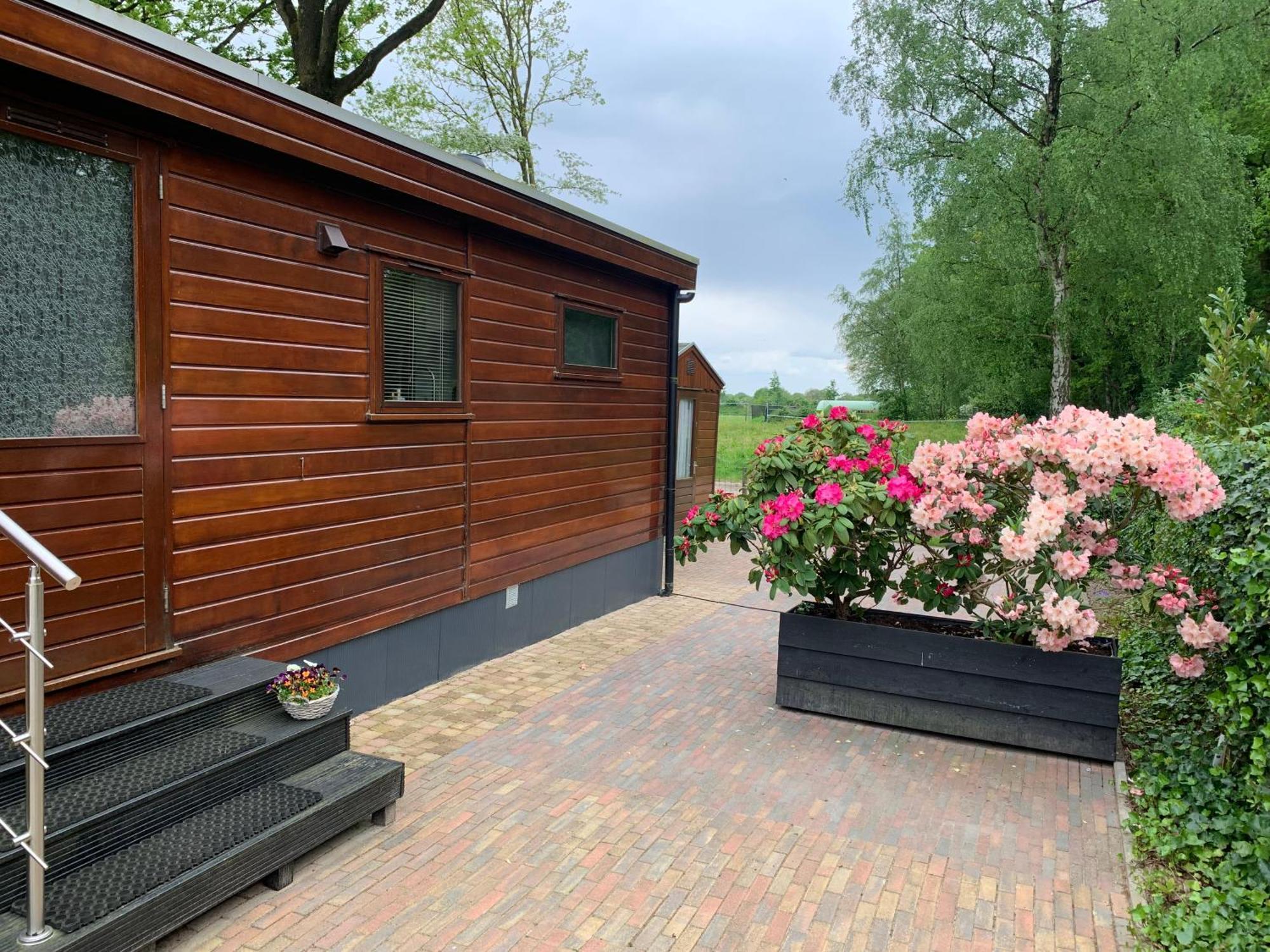 De Specht Villa Anloo Bagian luar foto
